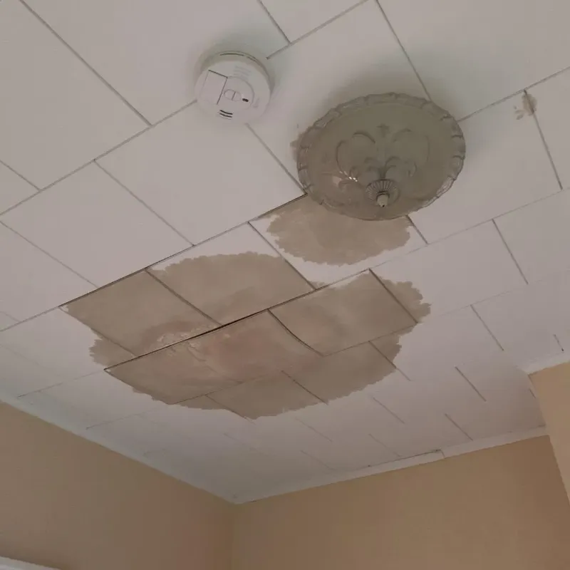 Ceiling Water Damage Repair in Claiborne Parish, LA