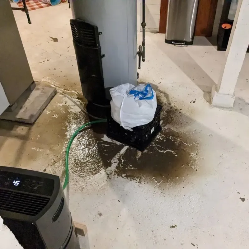 Sewage Backup Cleanup Service in Claiborne Parish, LA